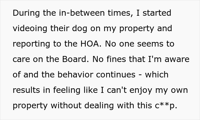 Text excerpt showing a complaint about an HOA board member refusing to follow pet ownership rules, causing neighbor conflict.