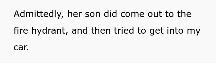 Text on a white background stating her son came out to the fire hydrant and tried to get into a car.