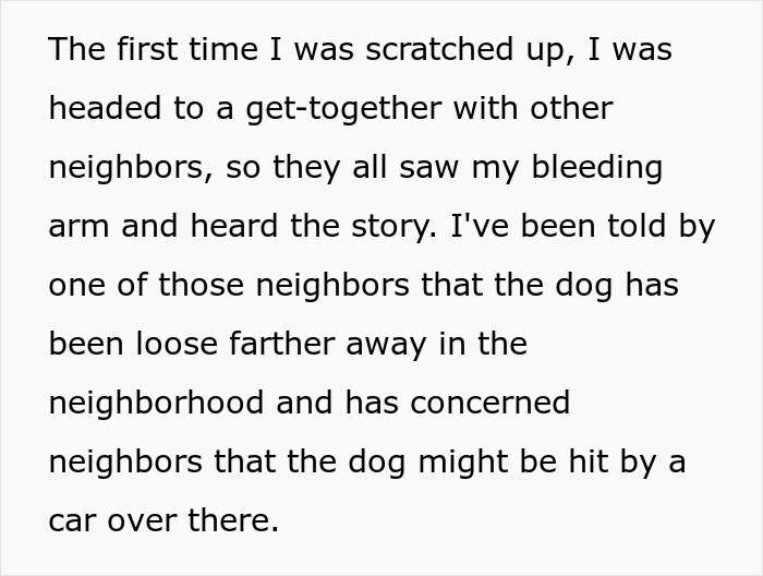 Neighbor describes dog scratches and concerns over HOA board member refusing to follow pet ownership rules in neighborhood.