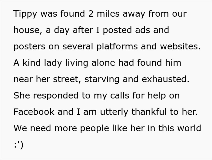 Text describing finding a lost dog after posting ads, with a kind woman helping through Facebook calls.
