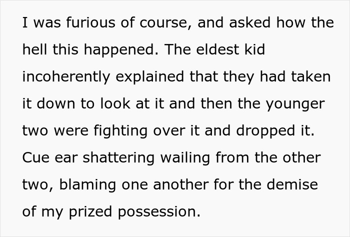 Text describing a family emergency where sister&rsquo;s kids caused damage, leading to frustration and conflict among them.
