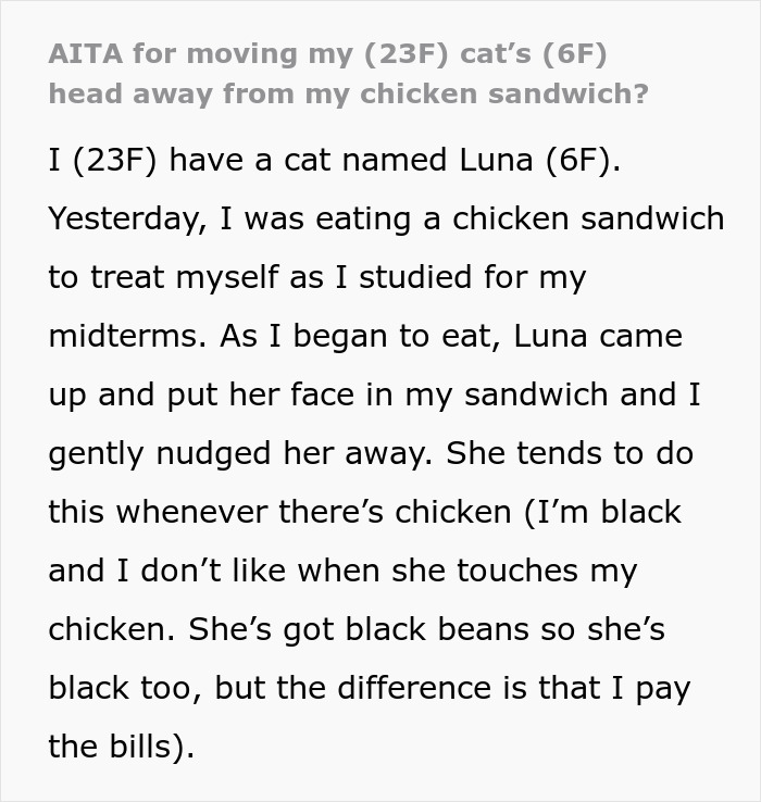 Woman refuses to share chicken sandwich with her cat, debating if she&rsquo;s the jerk over the refusal.