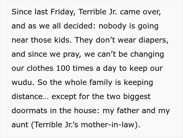 Text excerpt discussing family dynamics and struggles after quitting free babysitting by cousin&rsquo;s wife.