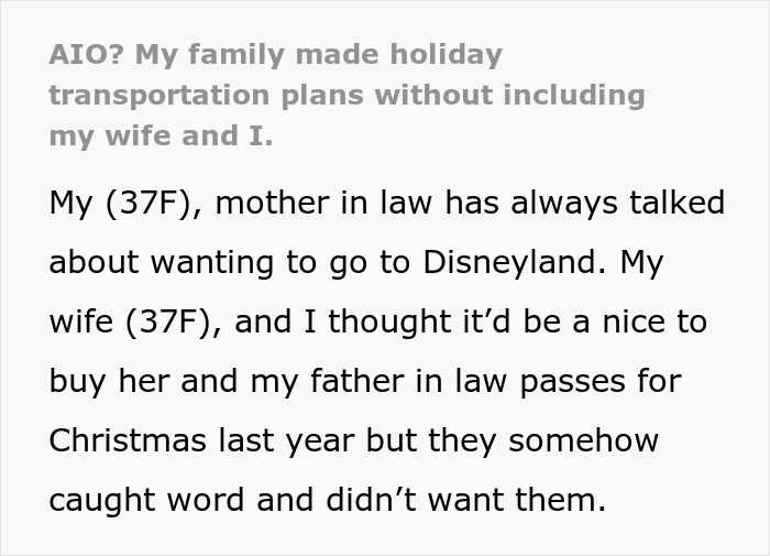 Family separate drive to Disneyland causing holiday transportation issues and planning challenges between in-laws.