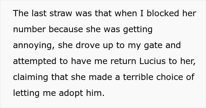 Text excerpt from woman adopting dog, horrified after harassment by previous owners over name, food, and vet change.