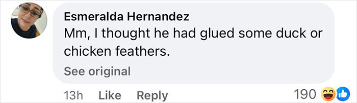 Comment on social media post showing mixed reactions to pop star dying her armpit hair at Paris Fashion Week.