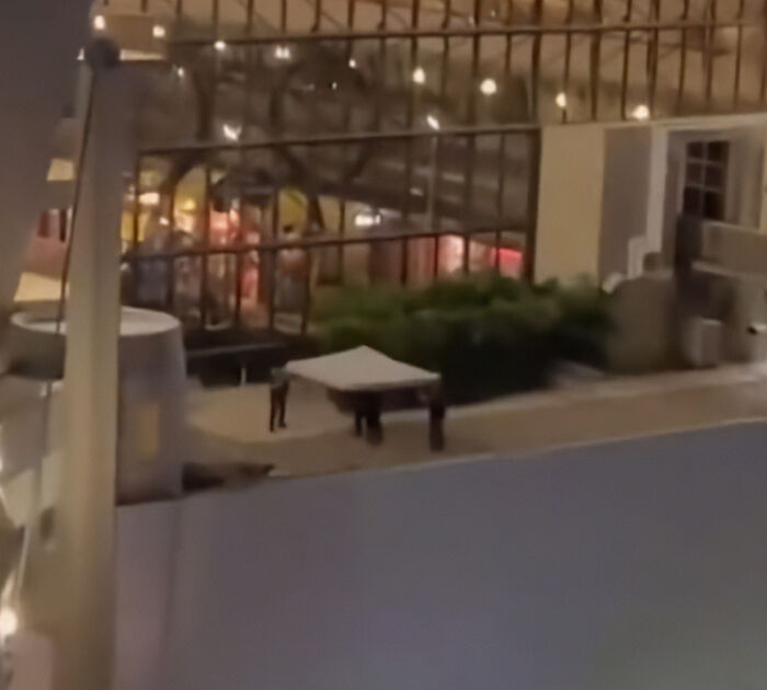 Blurry night view of a building with glass windows and a person standing outside, related to Sounds So Sus Disney superfan news.