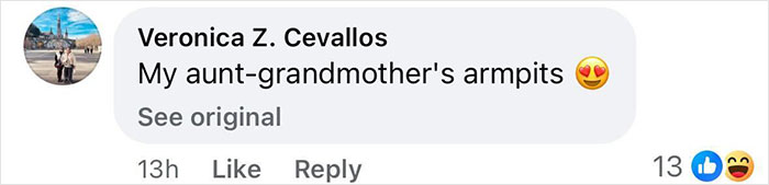 Comment saying my aunt-grandmother's armpits with heart eyes emoji reacting to pop star dyeing armpit hair at Paris Fashion Week.