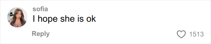 Comment on social media by user Sofia expressing concern about Bella Hadid after revealing her Victoria&rsquo;s Secret angel wings weight.