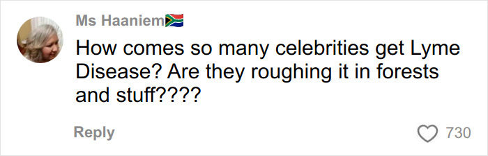 Comment by Ms Haaniem in a discussion, questioning why many celebrities get Lyme Disease and mentioning forests, with 730 likes.