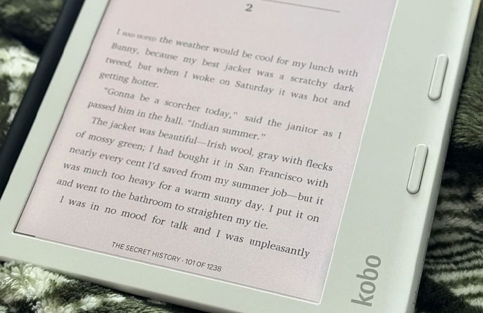 E-reader displaying a book page with text, illustrating how people discover and use loopholes creatively.
