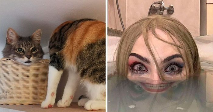 50 Hilarious Images That Are Somehow Both Blessed And Cursed