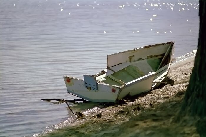 Old broken boat washed ashore on a calm beach, highlighting weird and fascinating things that happened in the ocean.