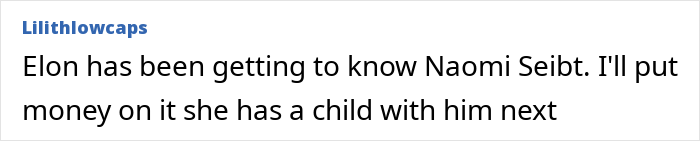 Comment text discussing Elon Musk and Naomi Seibt amid German activist known as Anti-Greta seeking US asylum.