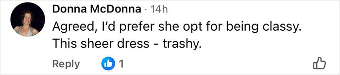 Comment by Donna McDonna criticizing a sheer dress as trashy, reflecting pro-modesty views in online discussion.