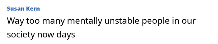 Text post by Susan Kern expressing concern about mentally unstable people in society today.