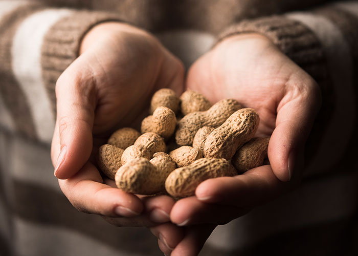 Hands holding unshelled peanuts, symbolizing tension and danger related to a monster-in-law threatening DIL's safety.