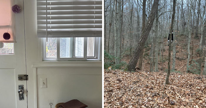 50 Pics Showing Cats That Are Not Easy To Find, But When You Do, You Can’t Unsee Them