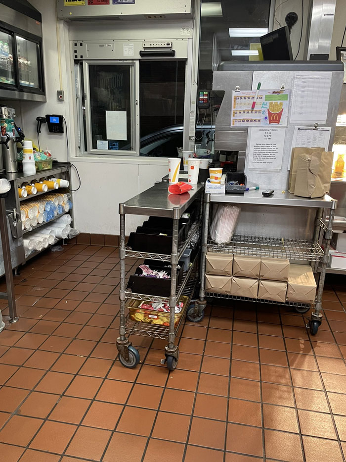 Cat seamlessly merged into restaurant kitchen background near stainless steel carts with food wrappers and drinks.