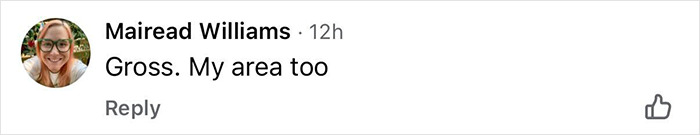 Comment from Mairead Williams saying Gross My area too on a social media post about birth control billboards. Comment from Mairead Williams saying Gross My area too on a social media post about birth control billboards.