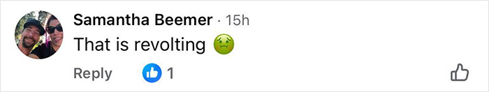 Screenshot of a social media comment by Samantha Beemer reacting with disgust to a Michigan billboards message on birth control. Screenshot of a social media comment by Samantha Beemer reacting with disgust to a Michigan billboards message on birth control.