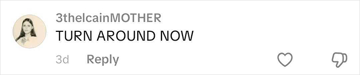 Comment from social media user 3thelcainMOTHER saying TURN AROUND NOW in bold text on white background.