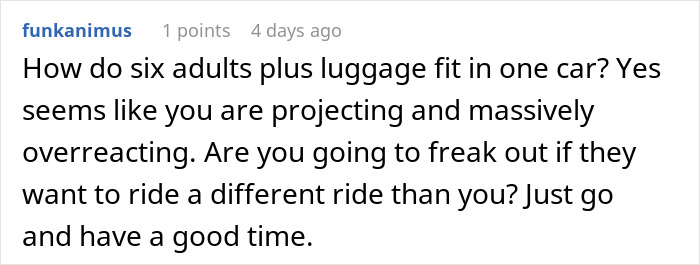 Comment discussing how families can handle separate rides and luggage when arriving at Disneyland during a family separate drive.