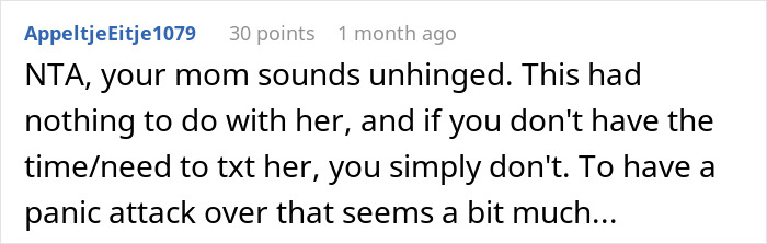 Screenshot of a Reddit comment discussing a mother accusing daughter of kidnapping after no updates during child&rsquo;s procedure.