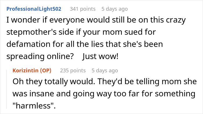 Online comments reveal teen&rsquo;s frustration with stepmom&rsquo;s hypocrisy after public lies are called out.