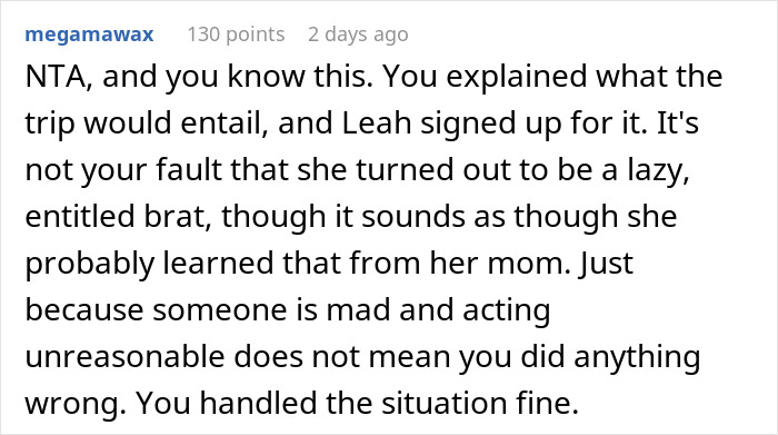 Screenshot of a Reddit comment discussing a 12-year-old ruining a birthday and causing drama between moms.