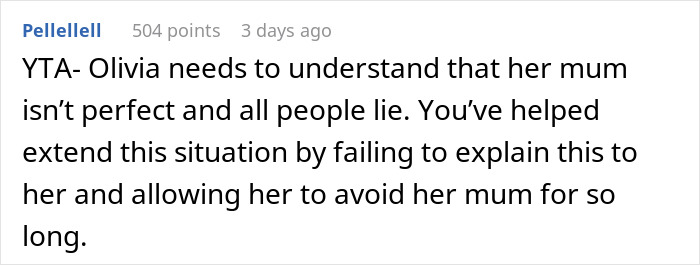 Reddit comment discussing a woman&rsquo;s work trip turned vacation and her autistic child refusing to go home.
