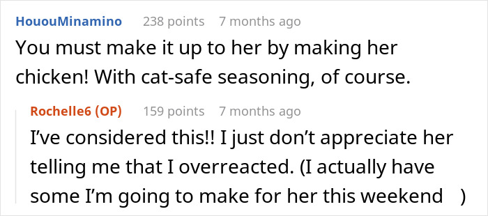 Online discussion about a woman refusing to share her chicken sandwich with her cat, debating if she&rsquo;s the jerk.