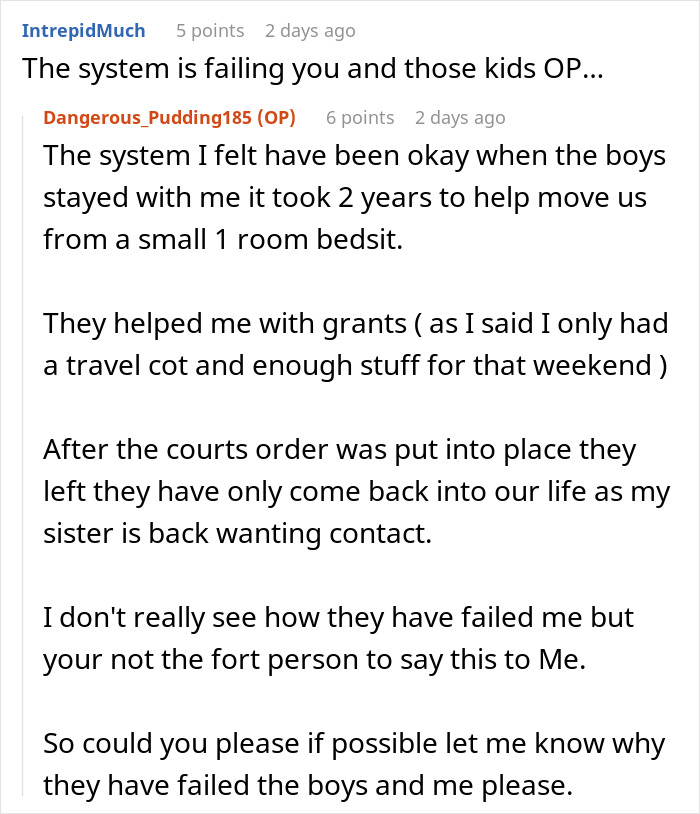 Reddit conversation about mom abandoning kids and sister raising them facing blame and system challenges six years later.