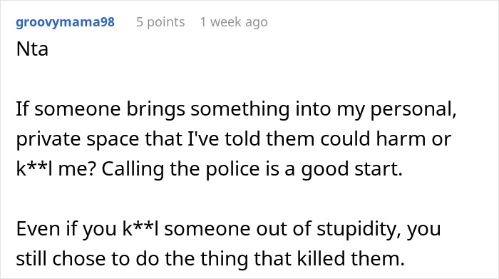 Comment discussing monster-in-law danger, police involvement, and protection of daughter-in-law&rsquo;s personal safety in online forum.