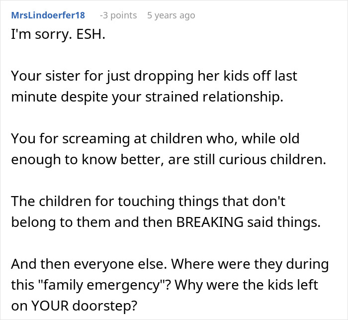 Comment discussing a strained family emergency involving kicking out sister&rsquo;s kids and responsibility issues.