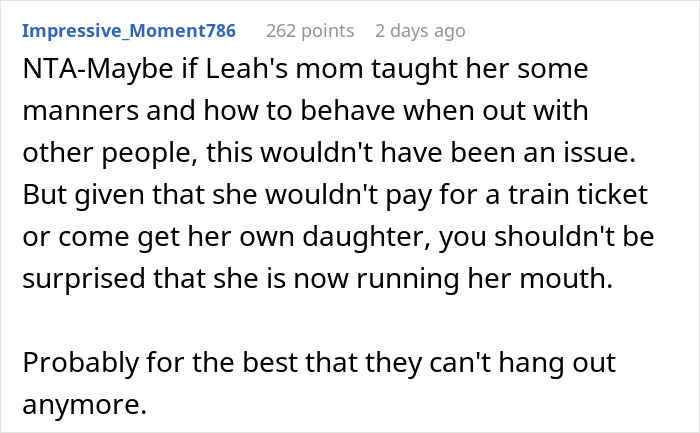 Screenshot of a social media comment discussing drama caused by a 12-year-old at a birthday party.