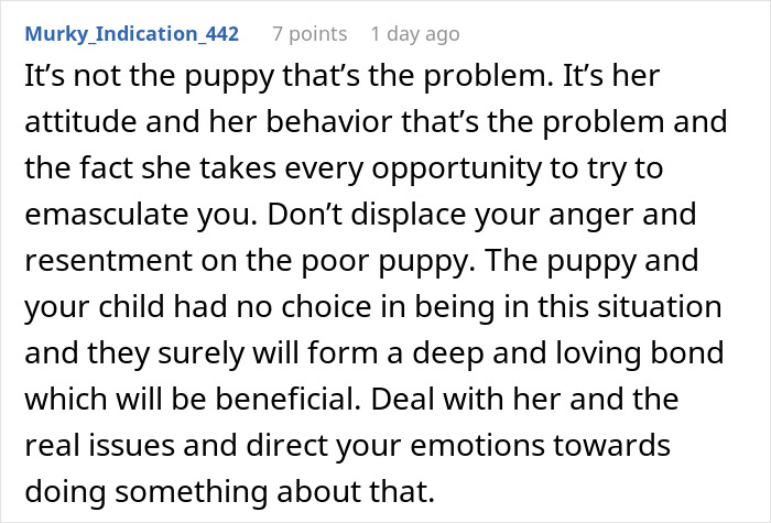 Comment discussing a man upset about unwanted puppy responsibility and advising to address real emotional issues.