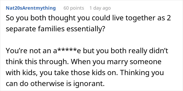 Commenter Nat20sArentmything discussing challenges of blending families and step-father role responsibilities online.