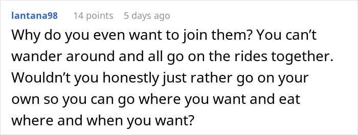 Comment discussing the idea of a family separate drive at Disneyland and the freedom to explore independently.