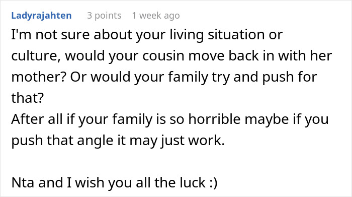 Text comment discussing cousin&rsquo;s wife struggling after quitting free babysitting and possible family living situations.