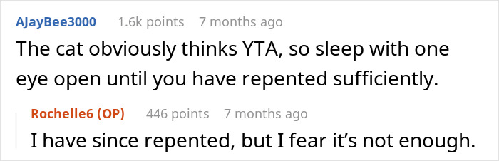 Screenshot of a conversation about a woman refusing to share her chicken sandwich with her cat, questioning if she&rsquo;s the jerk.