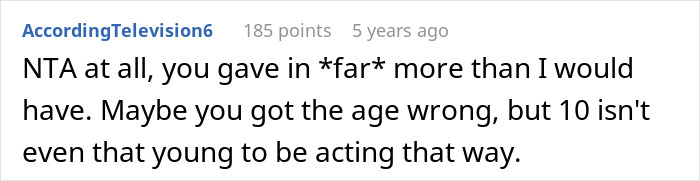 Screenshot of a Reddit comment discussing a teen refusing to entertain a stranger&rsquo;s kid on a long flight.