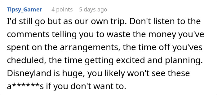 Screenshot of a Reddit comment discussing a family separate drive Disneyland trip and planning excitement.