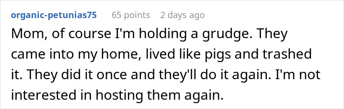 Screenshot of a Reddit comment about a woman spending $500 for Thanksgiving and regretting family treating her house like Airbnb.
