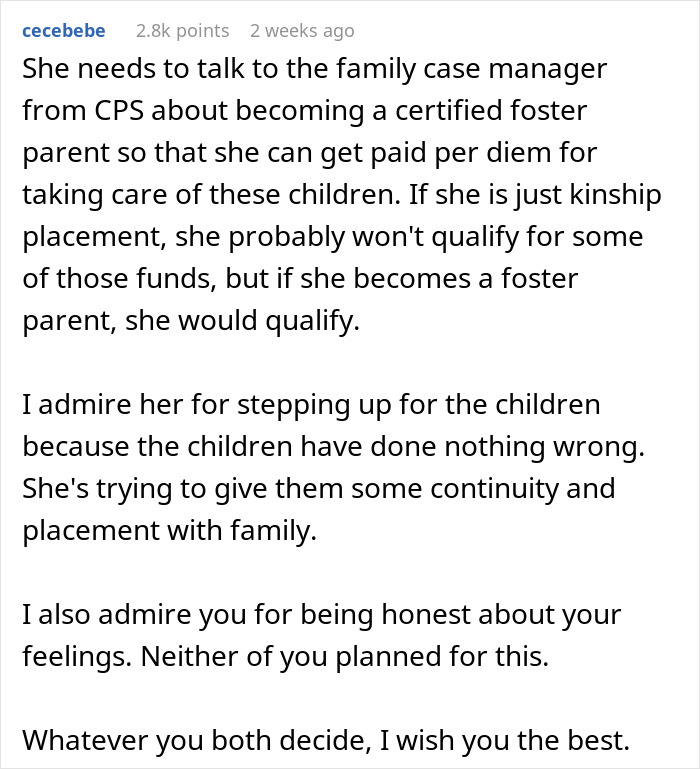Reddit comment advising woman to become a certified foster parent after saving niblings from foster care, BF rethinks future.