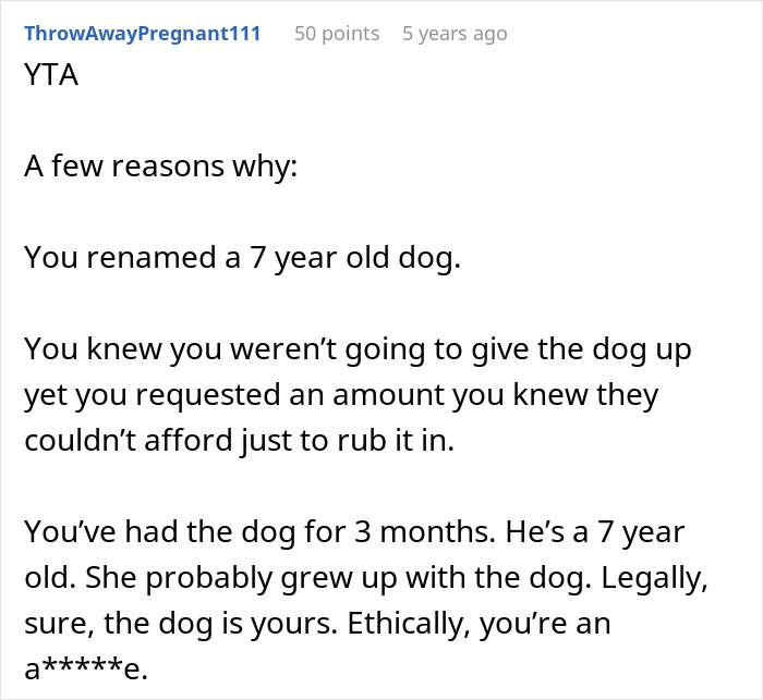 Comment discussing a woman adopting a seven-year-old dog and facing harassment over name and care changes.
