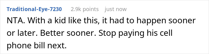Screenshot of a Reddit comment discussing a 20-year-old mooching off parents who stole $3K and was kicked out.