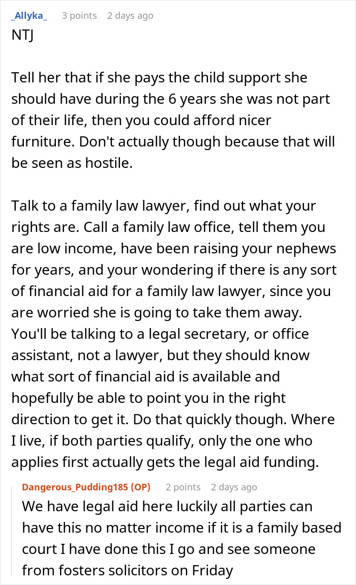 Reddit discussion about mom abandoning 2 kids with 23-year-old sister and legal advice on child support and family law.