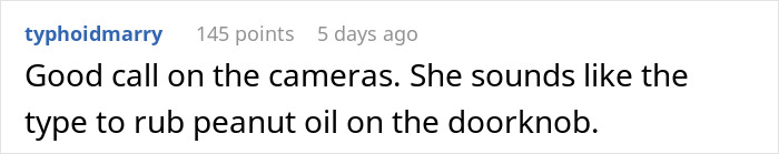 Text comment about monster-in-law causing trouble and police involvement to protect daughter-in-law&rsquo;s safety.