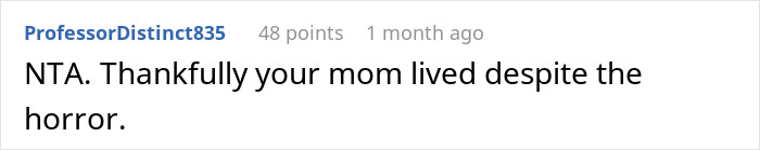 Screenshot of a Reddit comment discussing a mother accusing her daughter of kidnapping after no updates during child&rsquo;s procedure.